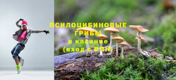 мяу мяу мука Аркадак
