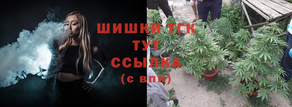 экстази Арсеньев