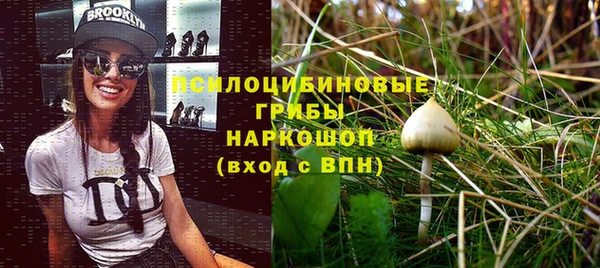 экстази Арсеньев