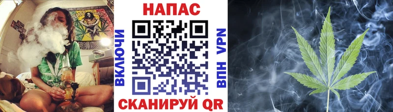 Конопля план  Гороховец 